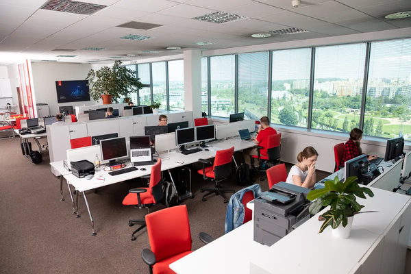 cleverbee-085-8763
